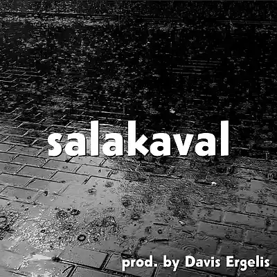 Picture for song 'Boom Bap type beat "salakaval"' by artist 'Davis Ergelis'