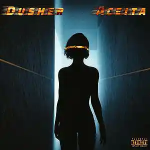 Picture for song 'Aceita' by artist 'Dusher'