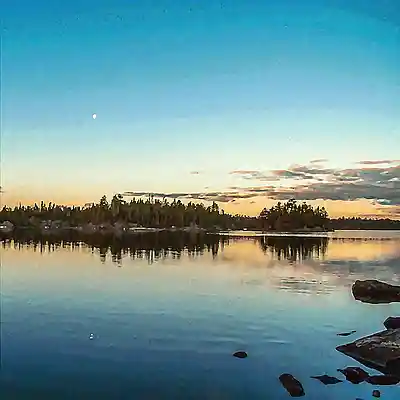 Picture for song 'The Pond: 1. Surface' by artist 'Jav Grojas'