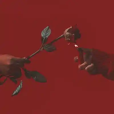 Picture for song 'Guns & roses' by artist 'Ksunbtz'
