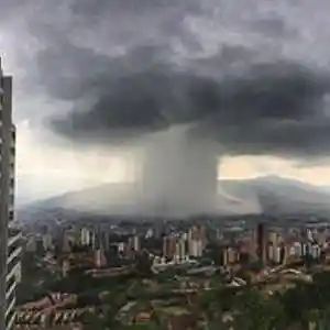 Picture for song '11 26 2023 bamboo skyscrapers karate io neo' by artist 'mcmakktenicetxtheprince'