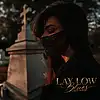 Picture for song 'Lay Low Blues' by artist 'Norwrei'
