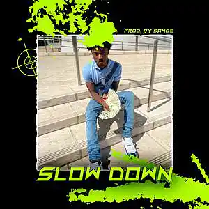 Picture for song 'Toosii x Li Tjay x Lil Durk Type Beat - Slow Down' by artist 'sange beats'