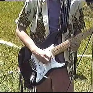 Picture for song 'Blue Suede Shoes' by artist 'Waxing The Sun'