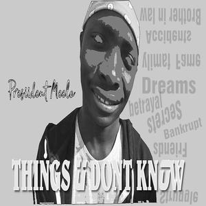 Picture for song 'Coming For Dreams' by artist 'Presiident Meelo'