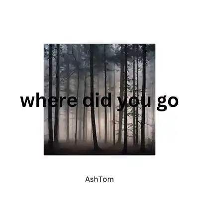 Picture for song 'Where Did You Go original basic bass' by artist 'Ashtrodude'
