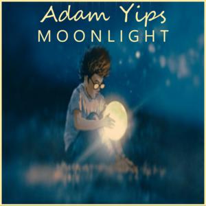 Picture for song 'Midnight' by artist 'Adam Yips'