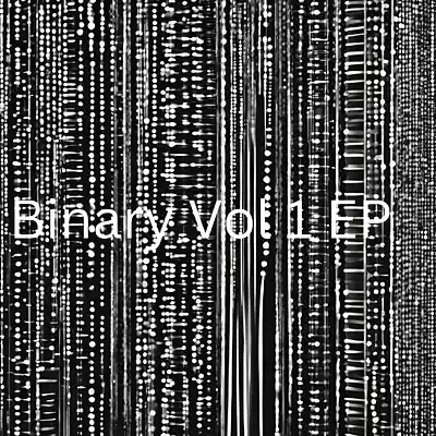 Picture for song '10101010001110011' by artist 'Ashtrodude'