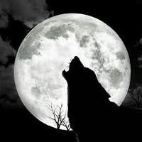 Picture for song 'The Wolfman of Old Caerffili Town' by artist 'Adrian Y Gof'