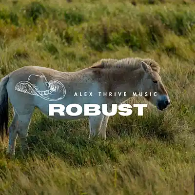 Picture for song 'Country Guitar Type Beat-Robust' by artist 'Alex Thrive Music'