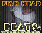 Picture for song 'blast off.MP3' by artist 'Fish Head Beats'