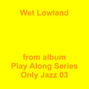 Picture for song 'Wet Lowland' by artist 'Jean-Marc Lozach'