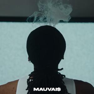 Picture for song 'LOGIC' by artist 'MAUVAIS BEATS'