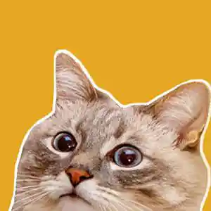 Picture for song 'MEOW BEATS - SPACE' by artist 'MEOW BEATS'