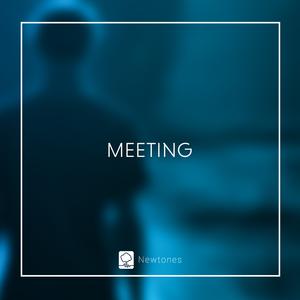 Picture for song 'Meeting' by artist 'Newtones'