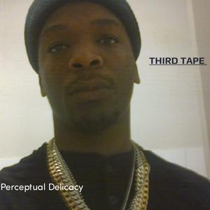 Picture for song 'freeestyle 3 me' by artist 'Perceptual Delicacy'