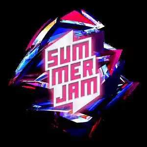 Picture for song 'Summer Jam' by artist 'Swampman And The Machine'