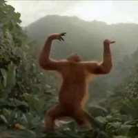 Picture for song '*NEW* *Beat* Dancing Monkey' by artist 'TEKTA'