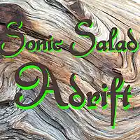 Picture for song 'Adrift3 (2)' by artist 'The Sonic Salad'