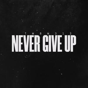 Picture for song 'Never Give Up' by artist 'TMBM313'