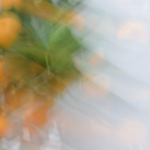 Picture for song 'origami 5' by artist 'Tupana'