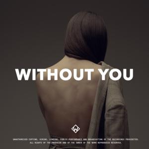 Picture for song 'Without You (Sad Piano Type Beat)' by artist 'WZ Beats Store'