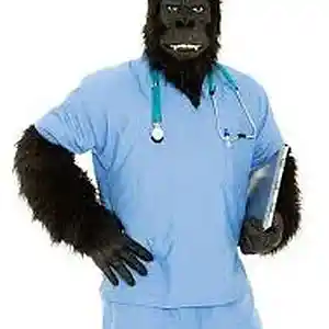 Picture for song 'Nurse Monkey' by artist 'Big Wil Da General 415'