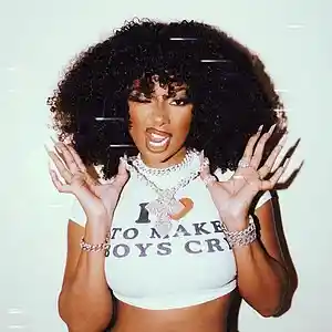 Picture for song 'Nicki Minaj x Megan Thee Stallion Type Beat - “Get' by artist 'Dichano'