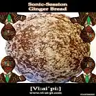 Picture for song 'Sonic Session - Ginger Bread (Andy Moon RMX)-128' by artist 'DJAndyMoon'