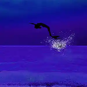 Picture for song 'Underwater' by artist 'Liakat Khan'