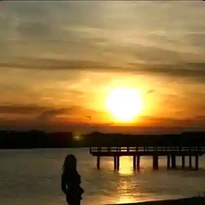 Picture for song 'I Saw The Light Cover' by artist 'Newlife blues Jazz thunder'