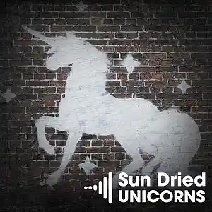 Picture for song 'Sun-Dried Unicorn' by artist 'Vanilla Groove Beats'