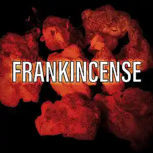 Picture for song 'FRANKINCENSE' by artist 'Z-L VYBEZ'