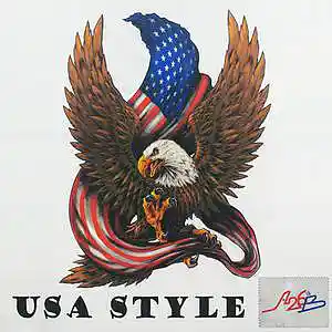 Picture for song 'Alex 26'th Beat "USA Style"' by artist 'Alex 26'th Beat'