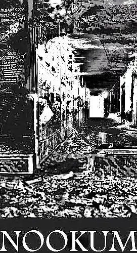 Picture for song 'JUST f***ED WIT IT(FREE DOWNLOAD)' by artist 'DJ NOOKUM'