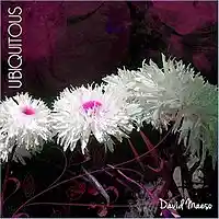 Picture for song 'Automatic Stairs' by artist 'David Maeso'