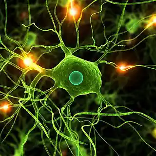 Picture for song 'Cell Damage Toxic Q ft. Green Side' by artist 'Drupz'