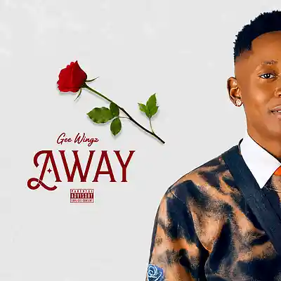 Picture for song 'Away' by artist 'Gee wingz'
