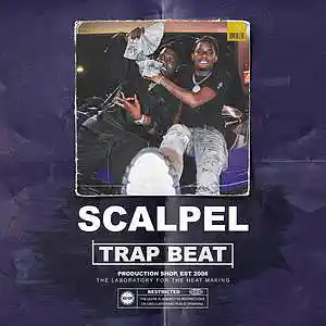Picture for song 'SCALPEL' by artist 'Music Hold Inc'