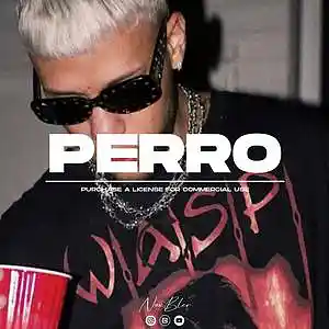 Picture for song 'Jhay Cortez x Bad Bunny type beat - PERRO' by artist 'NEXBLER'