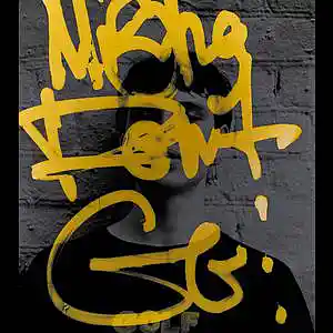 Picture for song 'Trav' by artist 'pie'