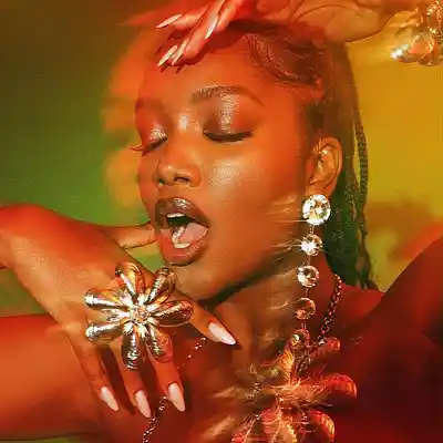 Picture for song 'Afrobeat instrumental-GABON' by artist 'producerbaro'