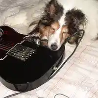 Picture for song 'Tears And A Frown #2' by artist 'Sam Blairs Blue Room'