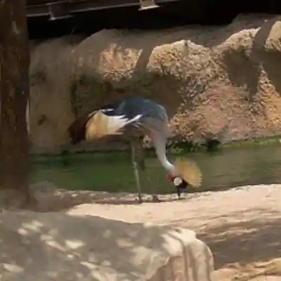 Picture for song 'sin final' by artist 'senmusic'