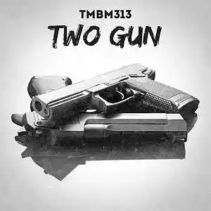 Picture for song 'Two Gun' by artist 'TMBM313'