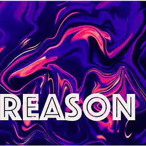 Picture for song 'Reason (Mastered with Sunroof at 50pct)' by artist 'V'DO-It'