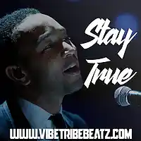 Picture for song '*AMAZING* Stay True' by artist 'VibeTribeBeatz'
