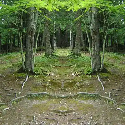 Picture for song 'Hexark' by artist 'Xulltek'
