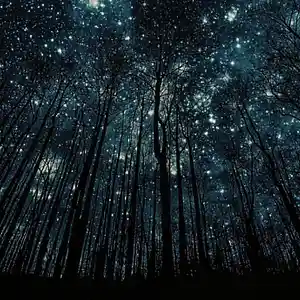 Picture for song 'rain' by artist 'AZN BEATS'