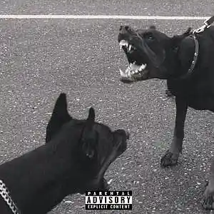 Picture for song 'JUNGLE ( BUY 1 GET 2 FREE )' by artist 'Fourthirty'